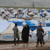 الهجرة تعلن عودة 100 نازح إيزيدي إلى سنجار
