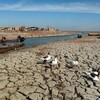 النفط مقابل المياه في العراق وموجات الجفاف قتلت الأنهار