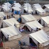 برلماني يكشف عن تحرك حكومي لأغلاق مخيمات النازحين في الاقليم