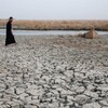 العراق يواجه أسوأ موجة جفاف في العصر الحديث