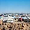 نقل 150 عائلة عراقية من مخيم الهول السوري إلى الموصل