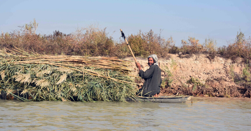 مؤسسة التمويل الدولية: العراق يحتاج إلى 233 مليار دولار لتمويل مشاريع الاستدامة البيئية