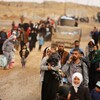 منظمة الهجرة الدولية: عودة النازحين تزداد في صلاح الدين ونينوى