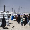 مخيم الهول.. هل ينجح العراق بنزع 