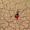 الجفاف يجتاح أهوار العراق.. انعدام تام للتنوع الإحيائي في 