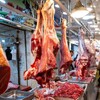 أربيل تتخذ إجراءات للوقاية من الحمى النزفية ومنع ارتفاع أسعار اللحوم الحمراء