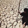 بسبب التصحر.. العراق يخسر 15% من الأراضي الزراعية