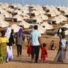 الهجرة النيابية: منحة العودة للنازحين غير كافية ونسبة الدور المدمرة أكثر من 90%