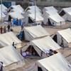 الهجرة تكشف أعداد ما تبقى من النازحين في المخيمات