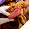 أطفال حديثو الولادة في شوارع العراق
