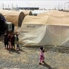 الهجرة الاتحادية تكشف وصول الدفعة الـ 19 من نازحي مخيم الهول إلى العراق