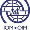 •	IOM Iraq Displacement Tracking Matrix Launches Mosul Information Portal 
