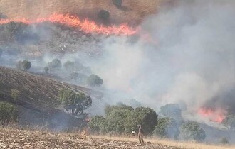 حرائق بكردستان تلتهم مخيما للنازحين و200 فدان من الأشجار الطبيعية