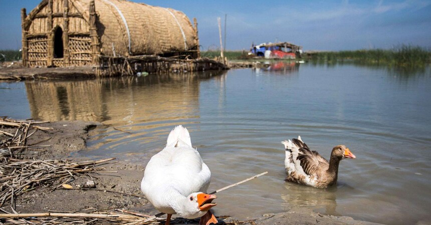 ارتفاع مناسيب الاهوار يعيد السكان النازحين والطيور المهاجرة