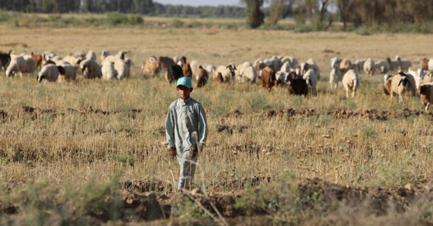 القتل والجثث المبعثرة تترك بصمات سلبية لدى أطفال العراق